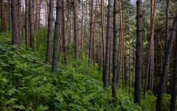 Geotrans sa – 10 lat w służbie ekologii i zrównoważonego rozwoju